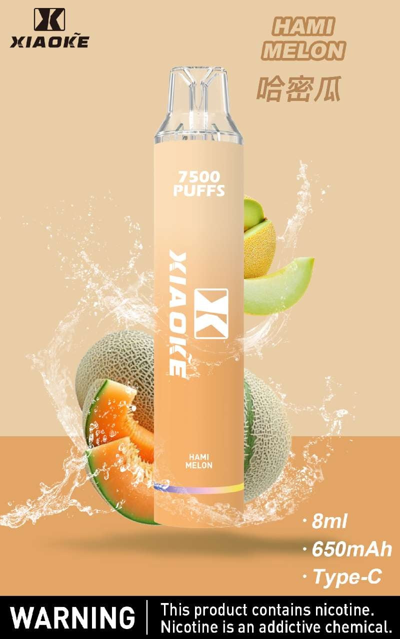 XIAOKE梟客拋棄式 新款一次性發光電子煙 多種口味電子霧化棒-VAKA糖果雲煙館