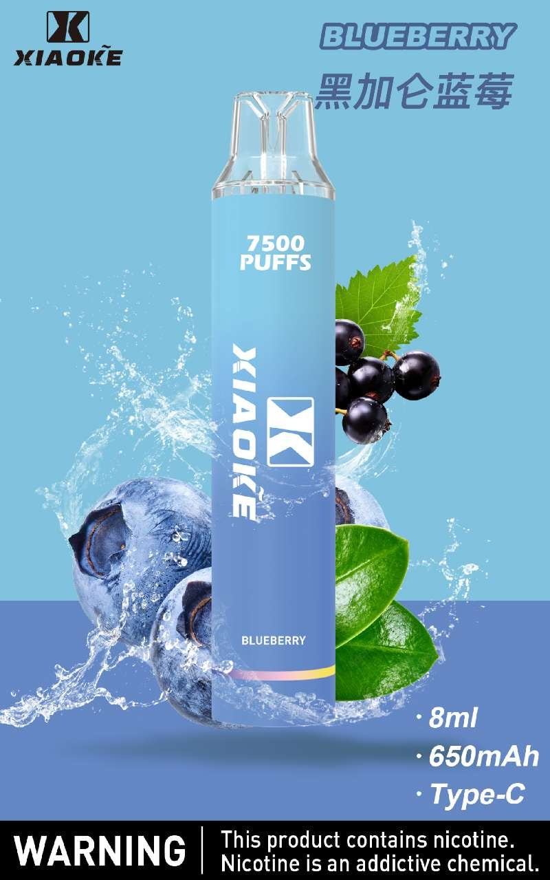 XIAOKE梟客拋棄式 新款一次性發光電子煙 多種口味電子霧化棒-VAKA糖果雲煙館